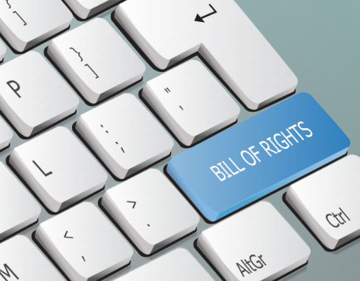 Bill of Rights Image