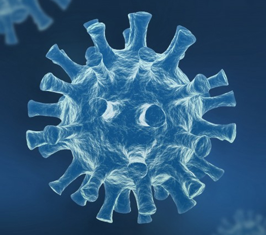 Covid-19 Virus Photo